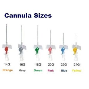 Iv cannulas with ports and wings