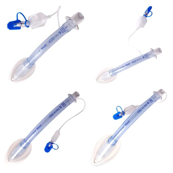 Laryngeal mask Laryngeal mask